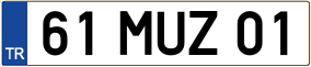 Truck License Plate